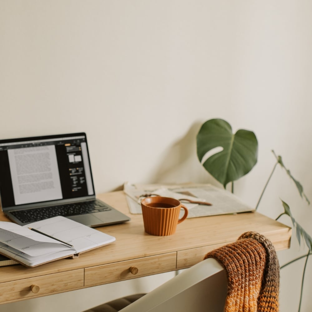 Cozy workspace with laptop and plants